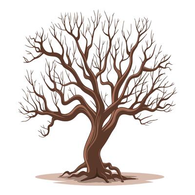 A bare tree with no leaves on a white background