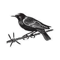 A black and white illustration of a bird sitting on a barbed wire vector