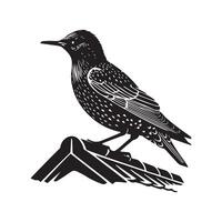 A black and white illustration of a starling vector