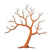 A bare tree with no leaves on a white background vector