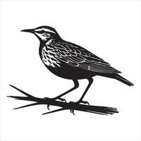 Black and white illustration of a bird sitting on a branch vector