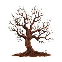 A bare tree with no leaves on a white background vector
