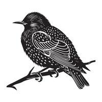 Bird on branch illustration vector