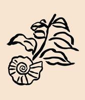 sketch of sea snails and leaves on the beach in classic style vector