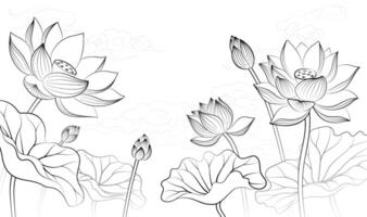 Hand drawn elegant linear illustration of a lotus flower on a light background vector