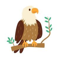 Cute Bald Eagle Hawk Falcon Strong Bird Animal Perched on Tree Twig in the Jungle vector