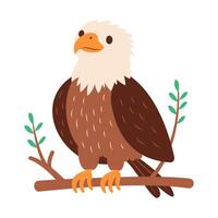 Funny Bald Eagle Hawk Falcon Bird Animal Perched on Tree Twig in the Jungle vector