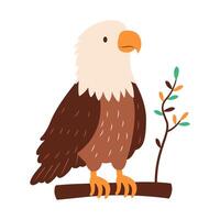 Cute Bald Eagle Hawk Falcon Bird Animal Perched on Tree Twig in the Woods vector