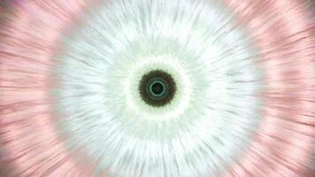 un abstrait image de une grand œil avec une rose Contexte video