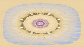 A flower with a circular design on top of a beige background video