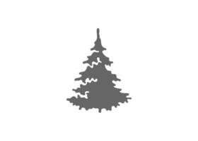 silhouette of evergreen tree illustration vector