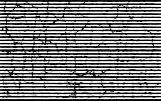 a black and white image of a line with a black and white pattern, a black and white striped background with lines, grunge effect vector