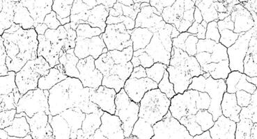 grunge texture dry land crack texture for overlay vector