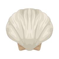 Illustration of seashell vector