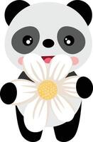 Funny panda with a flower daisy vector