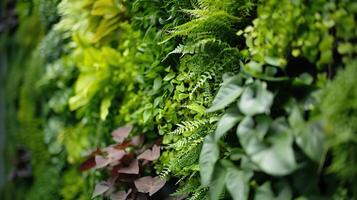 Detail of a living wall installation in a corporate lobby photo