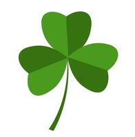 Clover leaf on white background vector