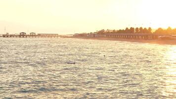The sea shimmers in the rays of the sunset, creating a golden color of water video