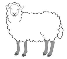 Sheep flat icon. Element from animals collection vector