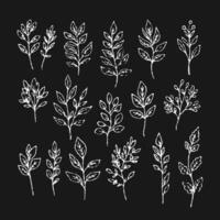 Set of chalk sketches of autumn leaves. The hand drawn, doodle illustrations capture the essence of fall with a fun, creative touch, ideal for seasonal designs. Not AI. vector