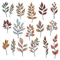 Set of chalk sketches of autumn leaves. The hand drawn, doodle illustrations capture the essence of fall with a fun, creative touch, ideal for seasonal designs. Not AI. vector