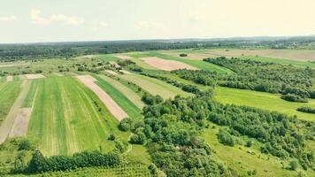 Above view of planted plots of land. Patchwork land plantations video