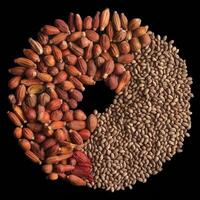 Top view different healthy food as source vitamin PP, dietary fiber and other natural minerals photo
