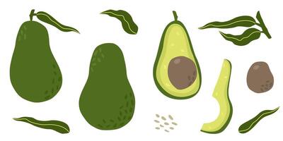 Hand drawn Avocado set. Whole and half cut with core and leaves. isolated elements on white background. flat illustration, organic food concept vector