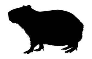 Capybara Silhouette isolated on a white background vector