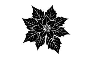 Poinsettia Flower Silhouette isolated on a white background vector