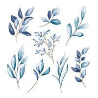 Watercolor foliage branches with leaves, isolated elements on white background. vector
