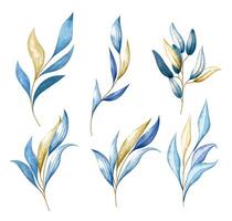 Watercolor foliage branches with leaves, isolated elements on white background. vector