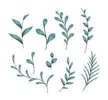 Watercolor branches with leaves, isolated elements on white background. vector