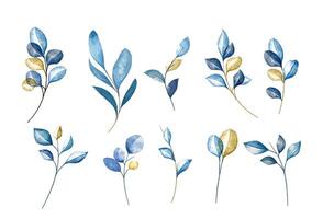 Watercolor foliage branches with leaves, isolated elements on white background. vector