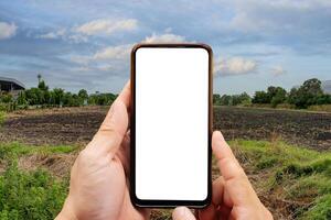 Cropped image of businessman using smartphone. Empty dry cracked swamp reclamation soil, land plot for housing construction project and beautiful blue sky. photo