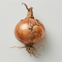 a onion that is on the table with a white background photo