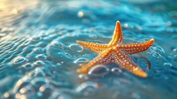 captures a moment of solitude, with the starfish resting on a water surface. The starfish, photo