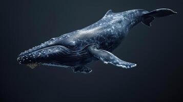 A majestic whale leaps out of the water in a stunning display of grace and power. photo