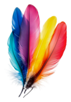 Colorful feathers displayed in vibrant array, cut out - stock . png