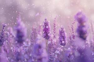 Ethereal Lavender Field with Magical Dust in the Air photo