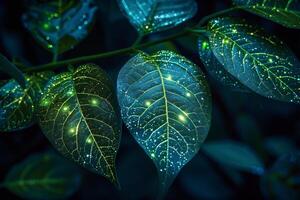 Glowing Green Leaves with Twinkling Bioluminescent Dust photo