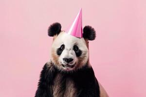 beautiful postcard of panda in party hat on pale pink background. Birthday party of celebration concept photo