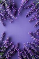 purple lavender frame on violet background top view, beautiful floral template with copy space photo