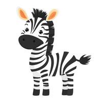 a cartoon zebra standing in front of a white background vector