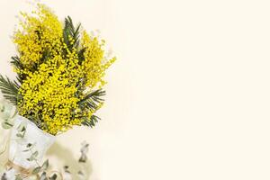 Bouquet with mimosa branches on a light background with copy space photo