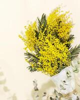 Bouquet with mimosa branches on a light background photo