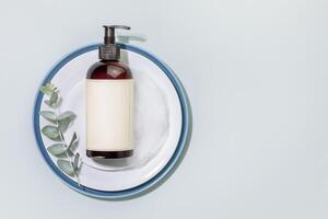 Bottle with dish detergent on a plates with sprig of eucalyptus with copy space photo