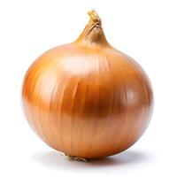 a fresh onion photo