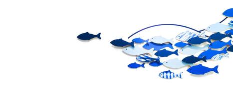 Blue and White Fish on White Background Isolated - School of Fish Concept photo