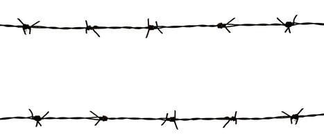 Isolated Barbed Wire on White Background for Security and Protection Concepts photo
